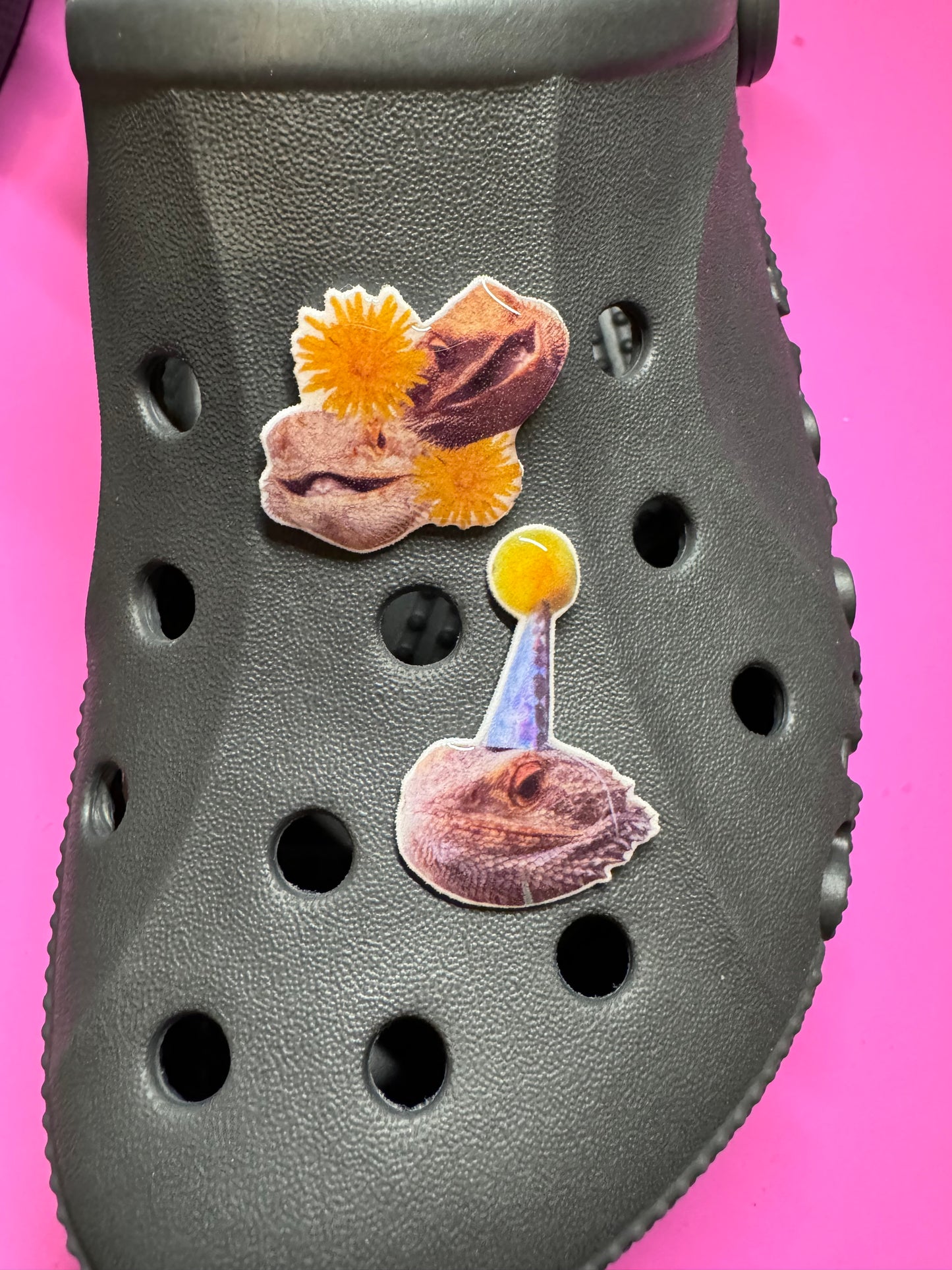 Custom Clog Charms - all images/ideas/designs - customisable