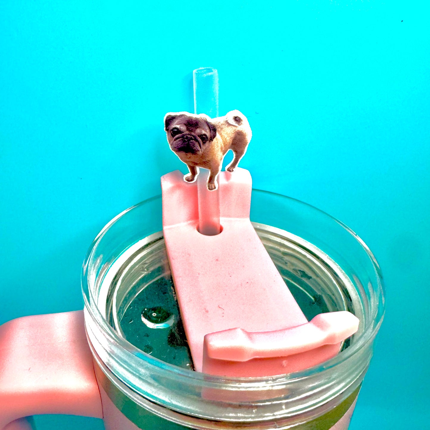 Custom Straw Toppers - all images/ideas/designs - customisable