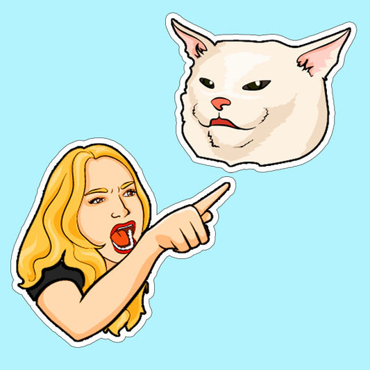 Woman Yelling at Cat Meme