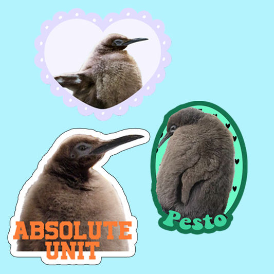Pesto Penguin